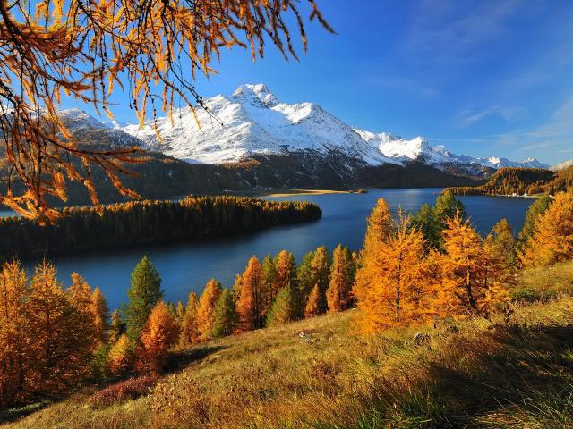 如何制定營(yíng)銷(xiāo)策略：你需要知道的一切